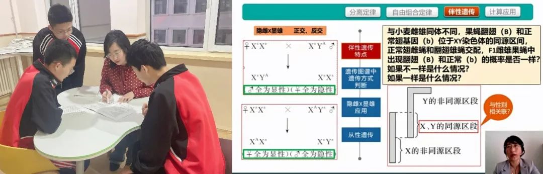 说明: 图片